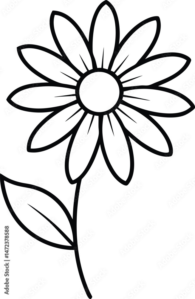 Fototapeta premium white flower on black background