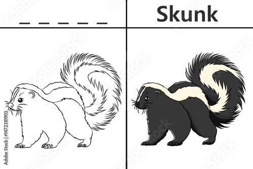 Skunk coloring pages for kids and learn to recognize letters, animal recognition cards media for various games in early childhood learning