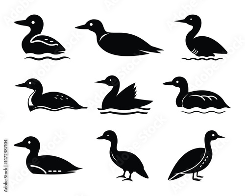 Collection of minimalist black and white duck silhouettes showing various poses and swimming positions.