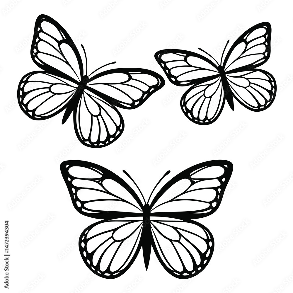 Fototapeta premium set of butterflies