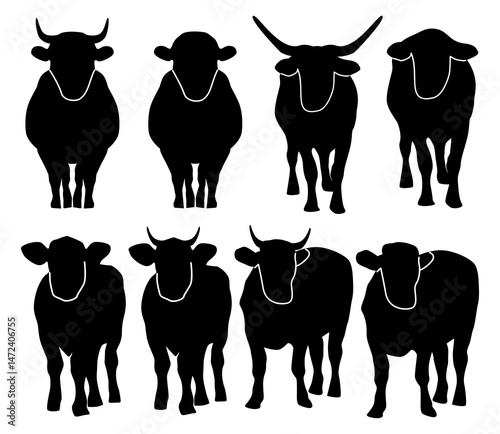Black silhouettes of beef cattle, cow in front view collection, agricultural farming icon set, isolated.