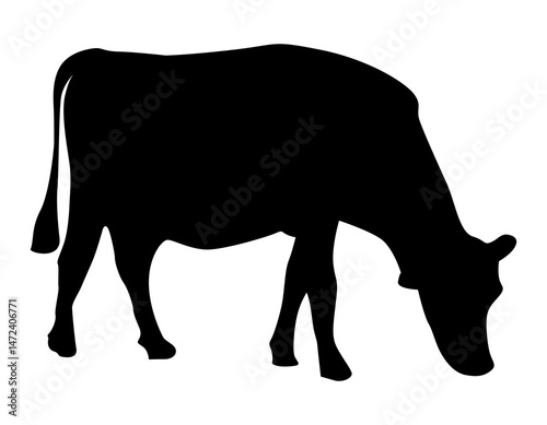 Vector silhouette of beef cattle, cow in side view bending down to graze isolated.