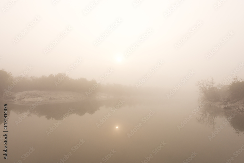 Obraz premium River channel, mudflat and mangrove forest of Sundarban tiger reserve in a foggy morning, India