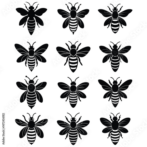 Set of Bee silhouette vector illustration bundle design