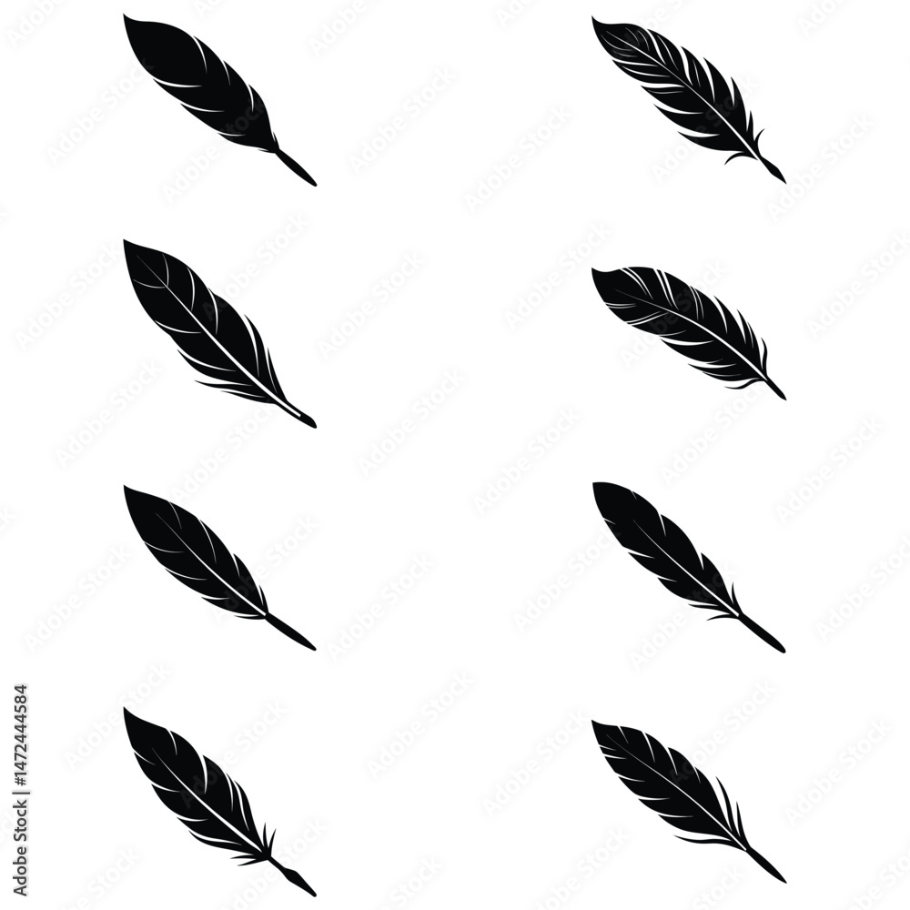 set of feathers vector on white background set of feathers vector on white background