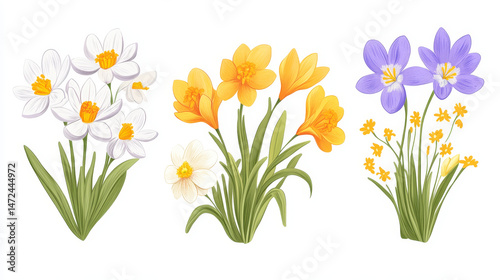 Hand-drawn vector card set celebrating spring, featuring crocuses, narcissus, and daisies for events like Easter and Mother’s Day