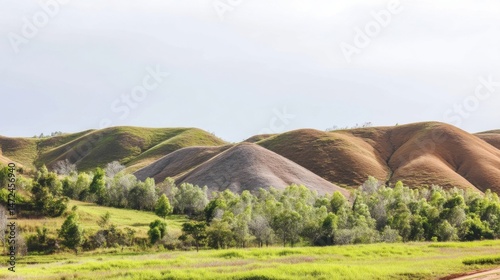 Rolling hills landscape with diverse vegetation and earthy tones under a bright sky, showcasing a serene natural scene. : Generative AI