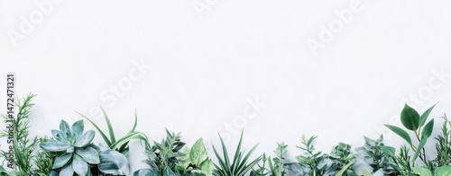 Wallpaper Mural A lush border of various green plants, succulents, and foliage arranged on a white background, creating a serene and natural composition. : Generative AI Torontodigital.ca