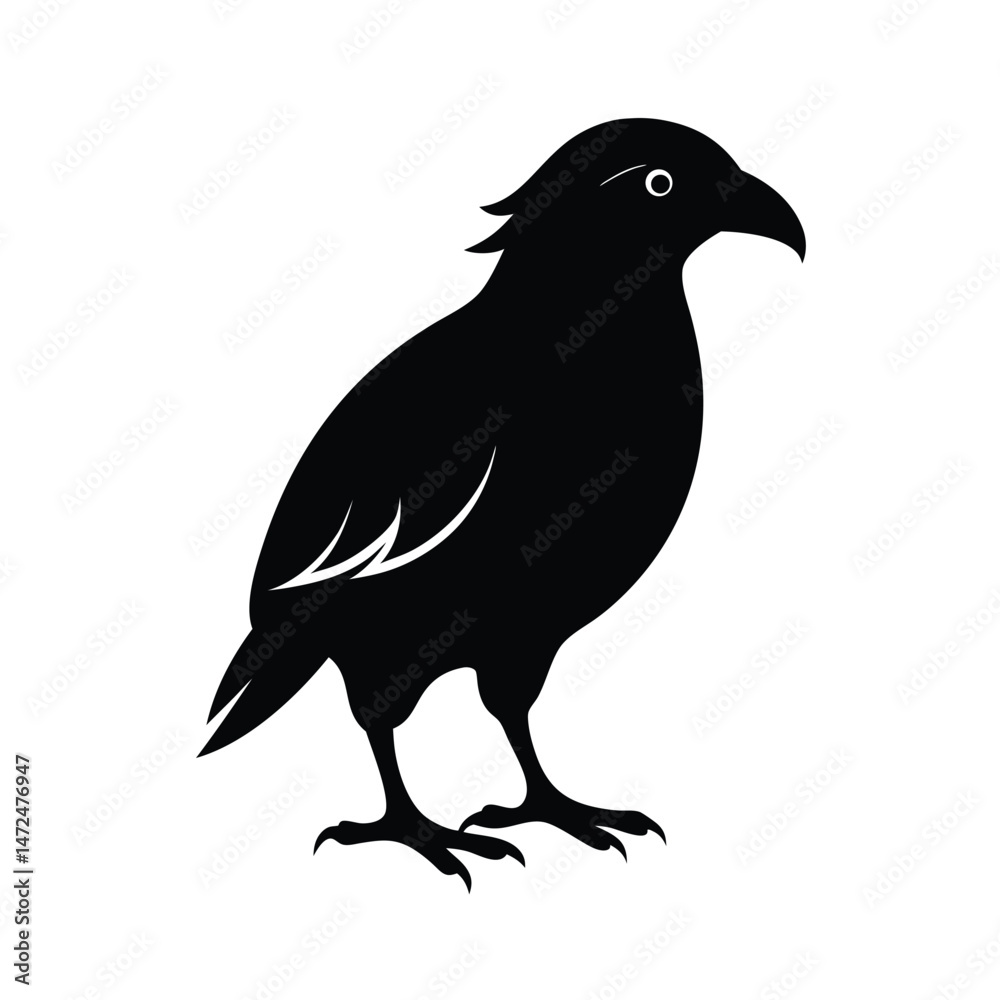 Obraz premium Kea mountain parrot from New Zealand silhouette vector image on white background