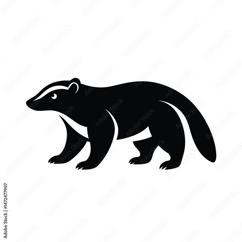 Fototapeta premium Honey badger fearless mammal known for aggression silhouette vector image on white background