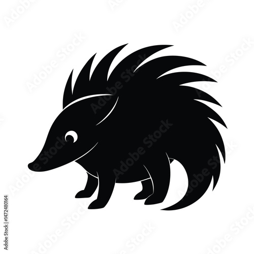 Echidna spiny anteater from Australia silhouette vector image on white background