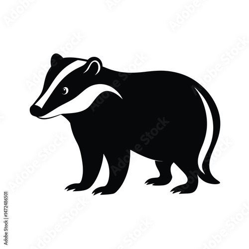 Badger forest-dwelling mammal in black silhouette vector image on white background