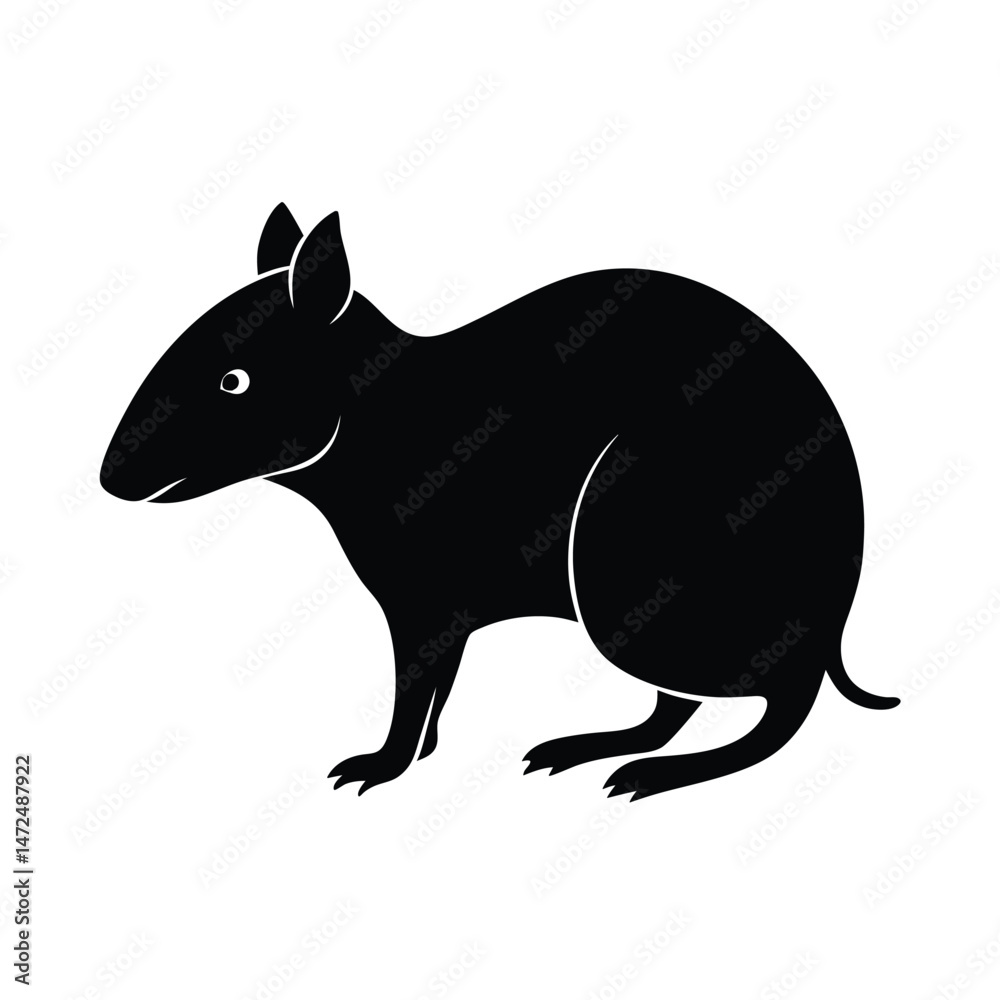 Obraz premium Agouti rodent species from Central and South America silhouette vector image on white background