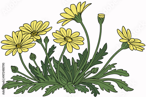 57 a bouquet of vibrant yellow daisy flowers, lush green foliage, detailed petals, natural lighting, high contrast, photographic quality, professional studio lighting