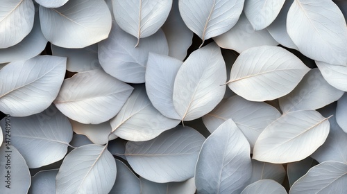 Soft Gray Leaves Background for Creative Design and Nature Projects