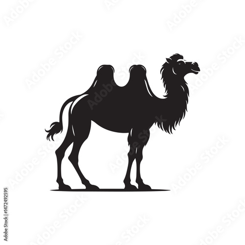 Arabian Camel Vector (3).eps