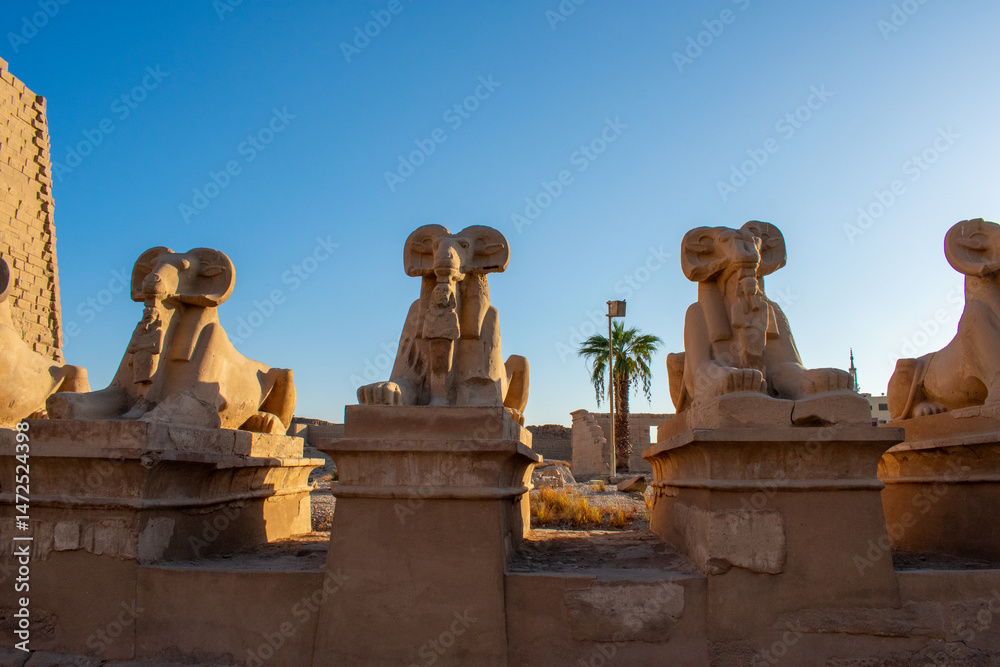 Fototapeta premium Karnak Temple in Luxor, Egypt. Entrance and Avenue of Sphinxes. Temple complex of Ancient Egypt in honor of the god Amun-Ra
