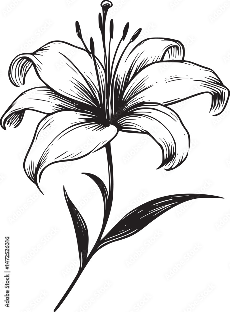 Obraz premium This is an illustration of flowers in a simple and modern line art style.