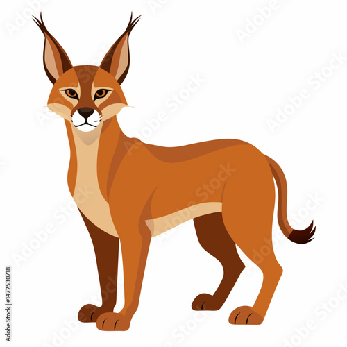 Minimal Caracal Vector on White