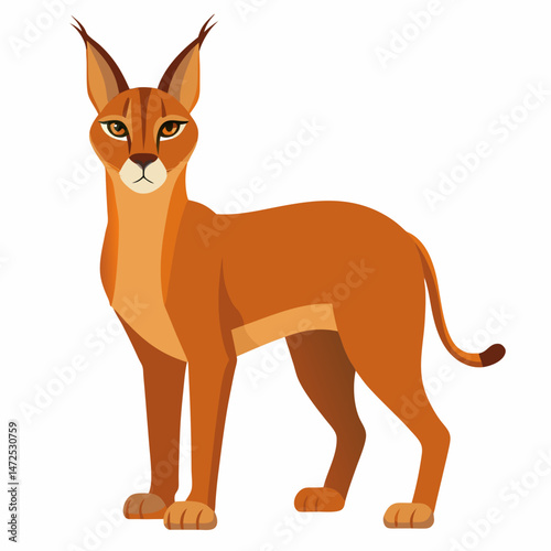 Minimal Caracal Vector on White
