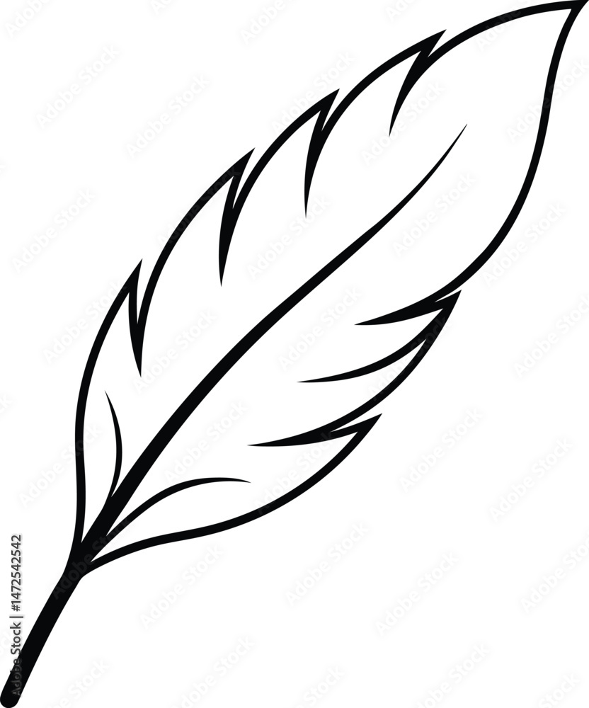 Obraz premium feather vector illustration