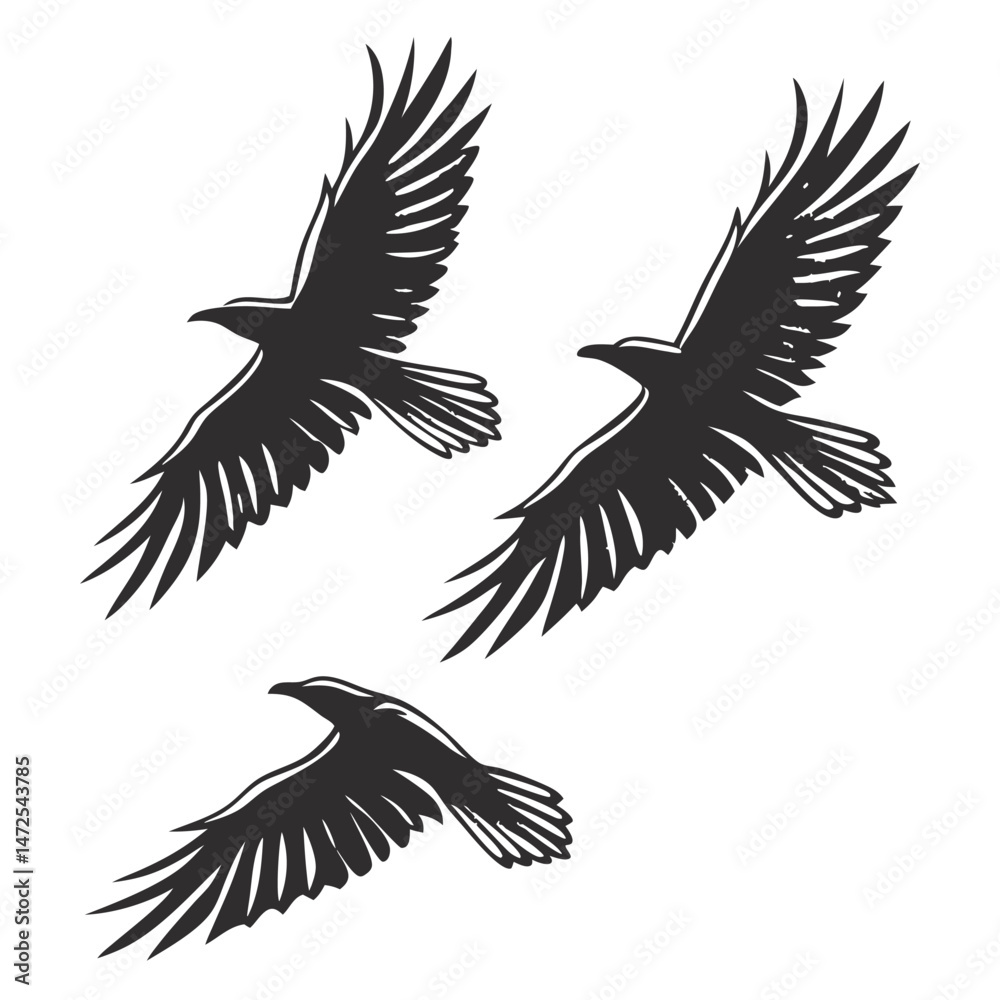 Three raven silhouettes flying with open wings on white background graphic illustration. Three raven silhouettes flying with open wings on white background graphic illustration.