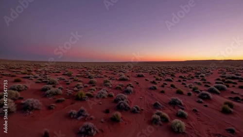 sunset in the desert