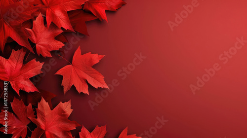 Victoria Day in Canada, red maple leaves, autumn red background, minimalism, horizontal banner, copy space, free space for text