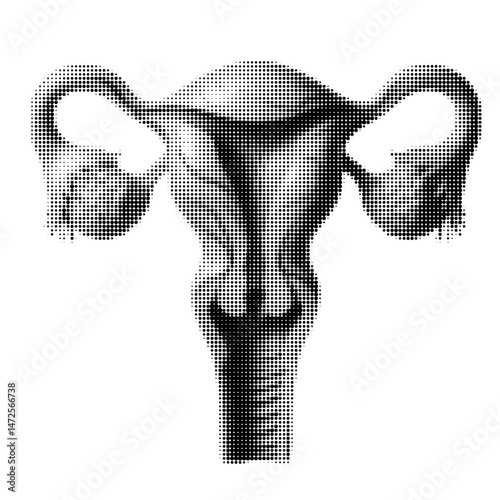 Uterus, female organ, Halftone, vintage comic book style, black and white dotted hatching, dynamic perspective, high contrast, retro-futuristic aesthetics, for screen printing or poster making.
