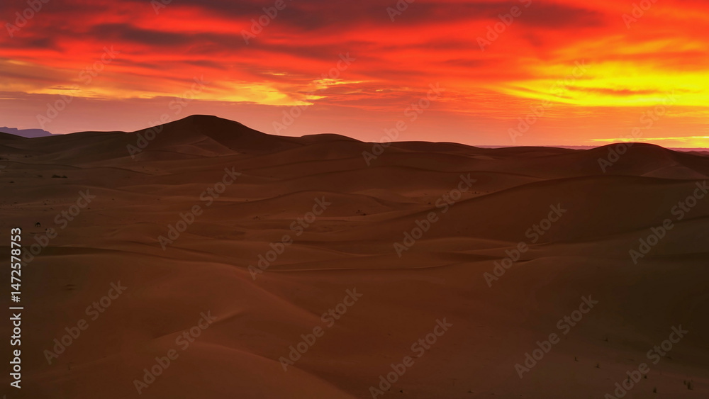Naklejka premium Sahara desert at sunset