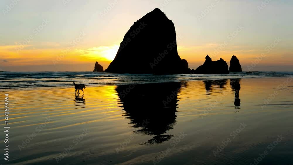 Coastal Sunset Silhouette of Haystack Rock and Birds at Low Tide