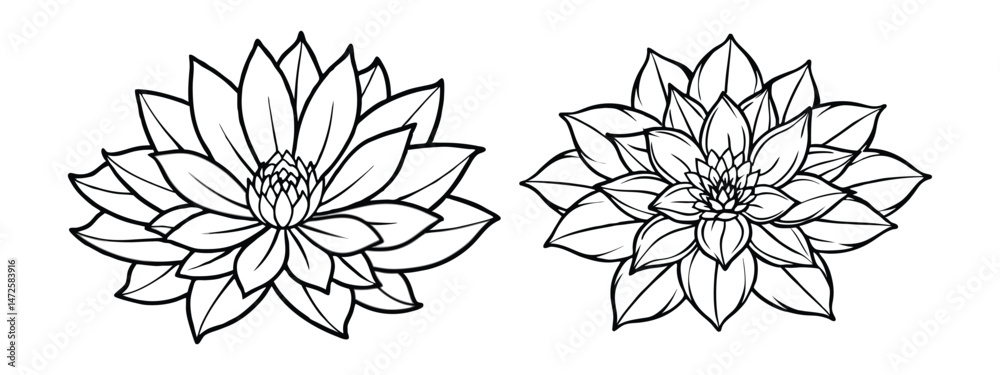 Obraz premium Black and White Botanical Illustration for Coloring Book or Yoga Logo On White Background