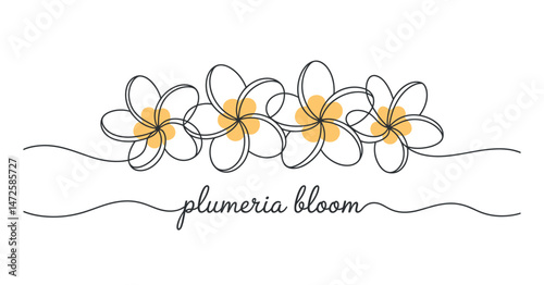 Elegant Plumeria Blooms Continuous Line Art Floral Design Element