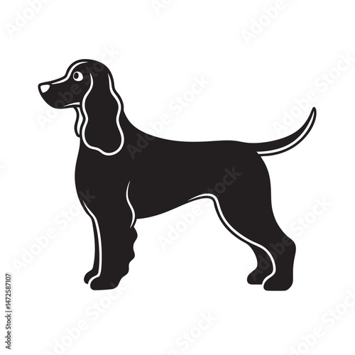 Cocker Spaniel Wagging Tail While Walking Silhouette