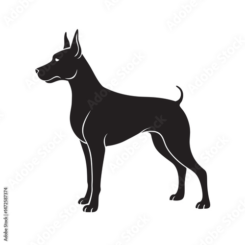 Doberman Standing Alert And Guarding Silhouette