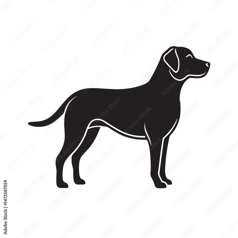 Fototapeta premium Labrador Retriever In Guard Pose Silhouette
