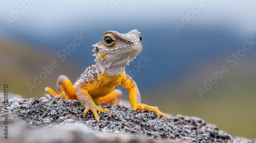 Vibrant Yellow Lizard on Rock, Wildlife Photo
