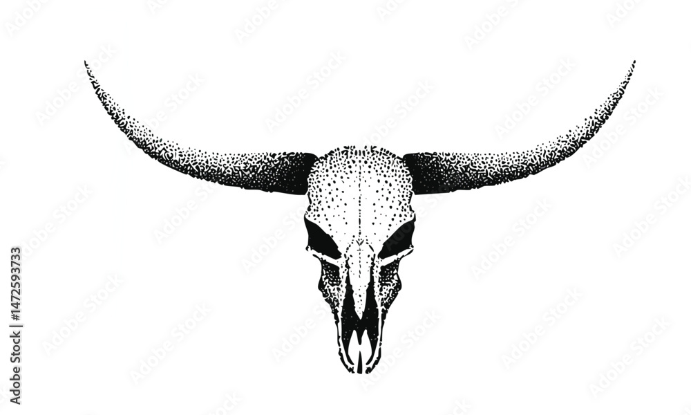 Fototapeta premium Curved Horn Bull Skull Vector Art