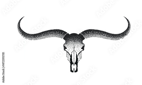 Western Bull Skull with Long Horns