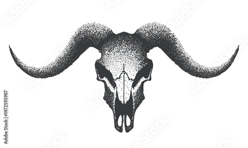 Bull Skull Clipart with Horns