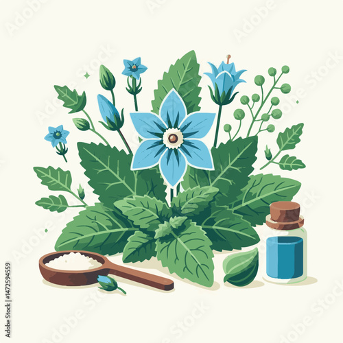 flower, nature, borage, herb, floral, blossom, borago, plant, starflower, natural, background, garden, leaf, officinalis, bloom, flora, green, herbal, medicine, closeup, blue, borago officinalis, beau