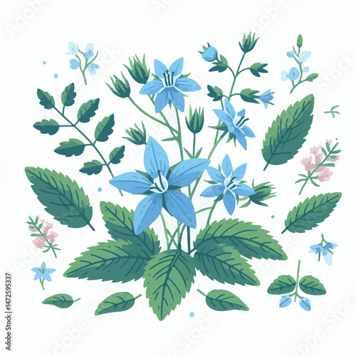 flower, nature, borage, herb, floral, blossom, borago, plant, starflower, natural, background, garden, leaf, officinalis, bloom, flora, green, herbal, medicine, closeup, blue, borago officinalis, beau