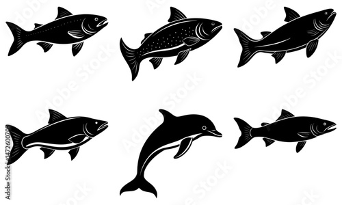 Salmon Silhouette vector illustration