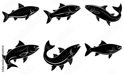 Salmon Silhouette vector illustration
