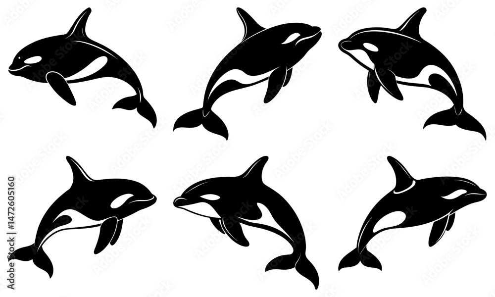 Obraz premium Killer Whale Silhouette vector illustration