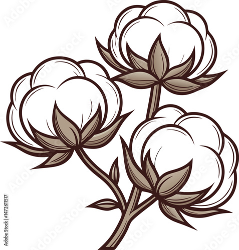 Three cotton bolls in bloom with detailed stems and leaves show simplicity