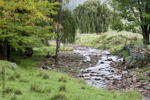 Stream running thnrough the village of Rhodes in the Eastern Cape Highlands photo