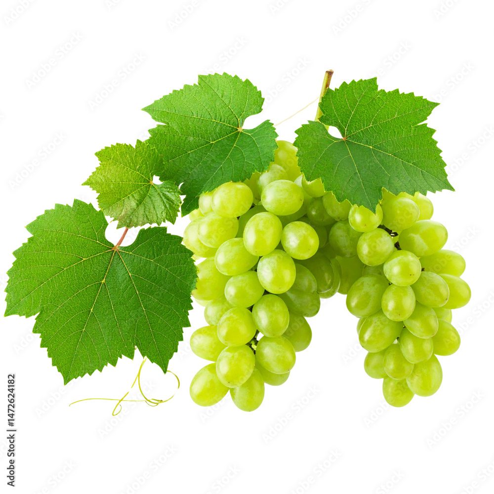 Obraz premium Fresh Cluster of Green Grapes with Leaves – Isolated PNG on White