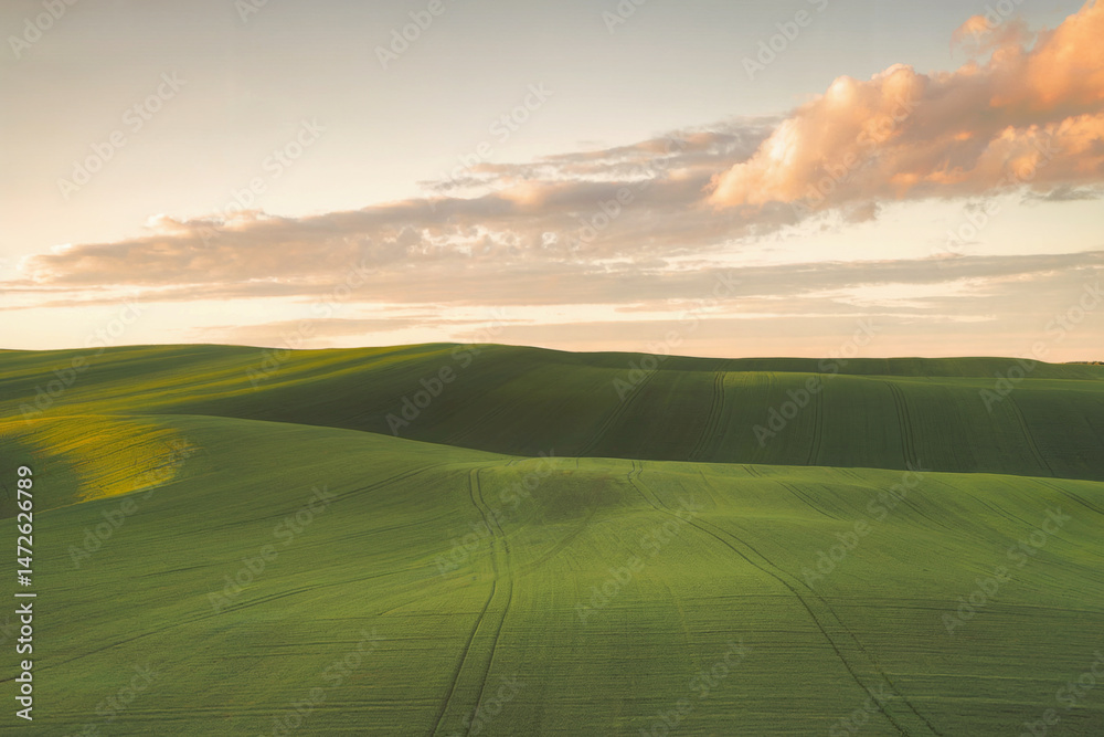Fototapeta premium Summer evening landscape with green field and cloudy sky.