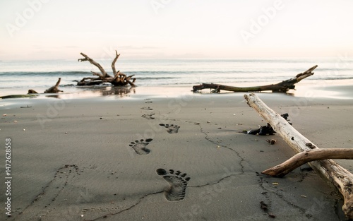 summer, Costa Rica, Sunrise beach footprints on driftwood photo